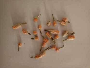 তেঁতুলিয়ায় ৬০ পিচ ইয়াবাসহ ২ মাদক ব্যবসায়ী আটক