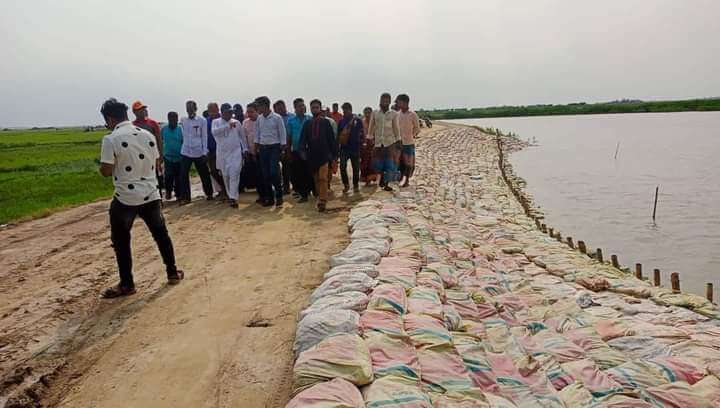 হাওরের বাঁধে-বাঁধে এমপি রতন-জমির ৭০ ভাগ ধান পাকলে কেটে বাড়িতে তোলার আহবান কৃষকদের