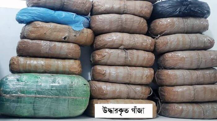 মাধবপুরে  গাঁজাসহ মাদক ব্যবসায়ী গ্রেফতার