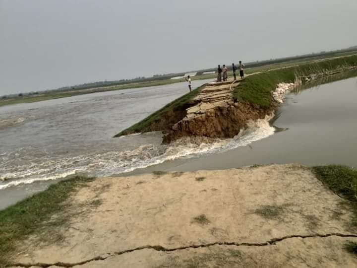 ধর্মপাশার ডুবাইল হাওরের বাঁধ ভেঙে তলিয়ে গেছে ৩শ হেক্টর জমির বোরো ধান
