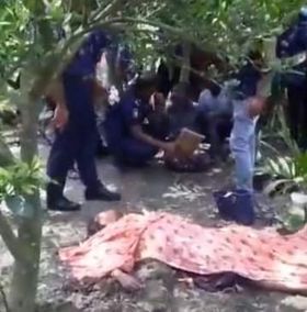 যশোরের ঝিকরগাছায় লেবু বাগান থেকে এক গৃহবধূর লাশ উদ্ধার।