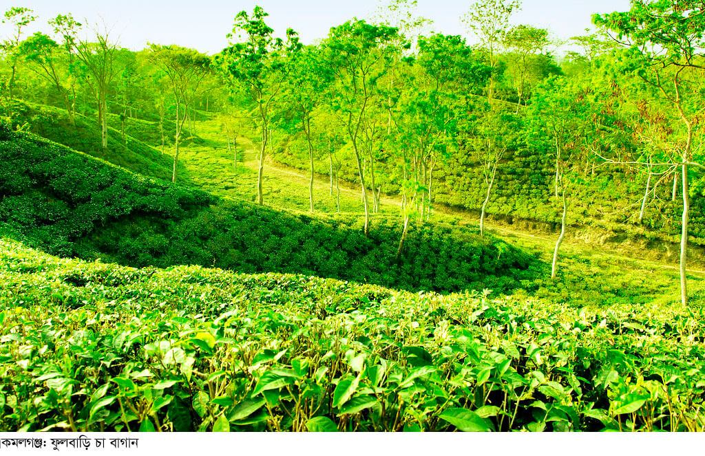 কমলগঞ্জের শমশেরনগর শ্রম কল্যাণে মাদকাসক্তি, শ্রম আইন, মাতৃত্বকালীন ছুটিসহ বিভিন্ন বিষয়ে ৫দিনব্যাপী শ্রমিক প্রশিক্ষণ কর্মশালা