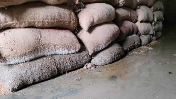 সিলেটে নগরীতে বন্যার ক্ষয়-ক্ষতিঃ মিল আড়ত গোদামে পচলো কোটি টাকার ধান-চাল!