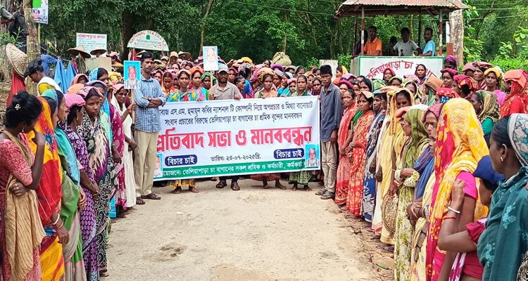 হবিগঞ্জে সিএনজি-পিকআপ ভ্যানের সংঘর্ষে বৃদ্ধ নিহত