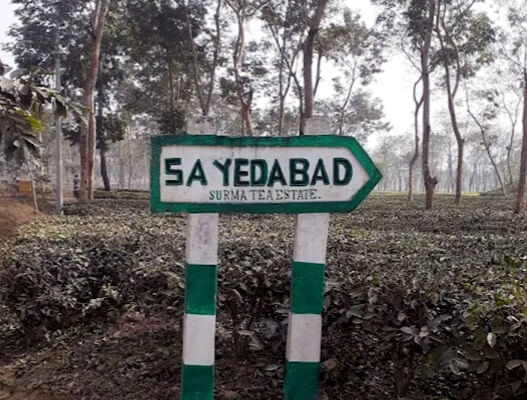 হবিগঞ্জ সাতছড়িতে  গাছ ফেলে ডাকাতি