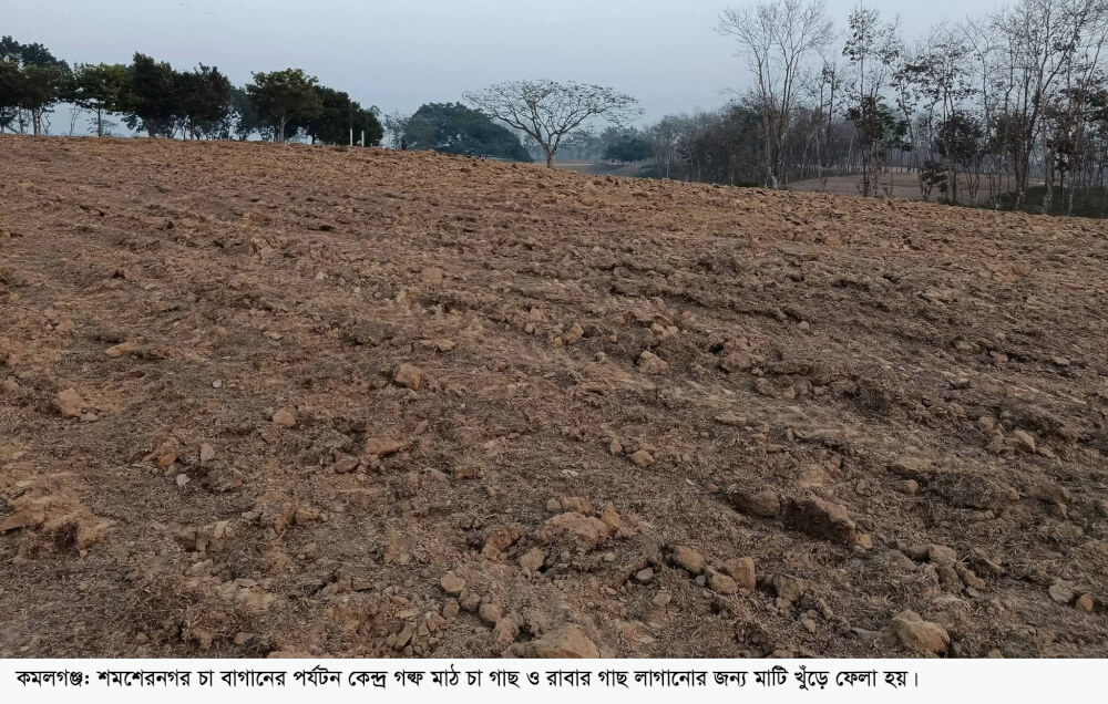 কমলগঞ্জের অন্যতম পর্যটন কেন্দ্র শমশেরনগর গল্ফ মাট খুঁড়ে ফেলছে বাগান কর্তৃপক্ষ