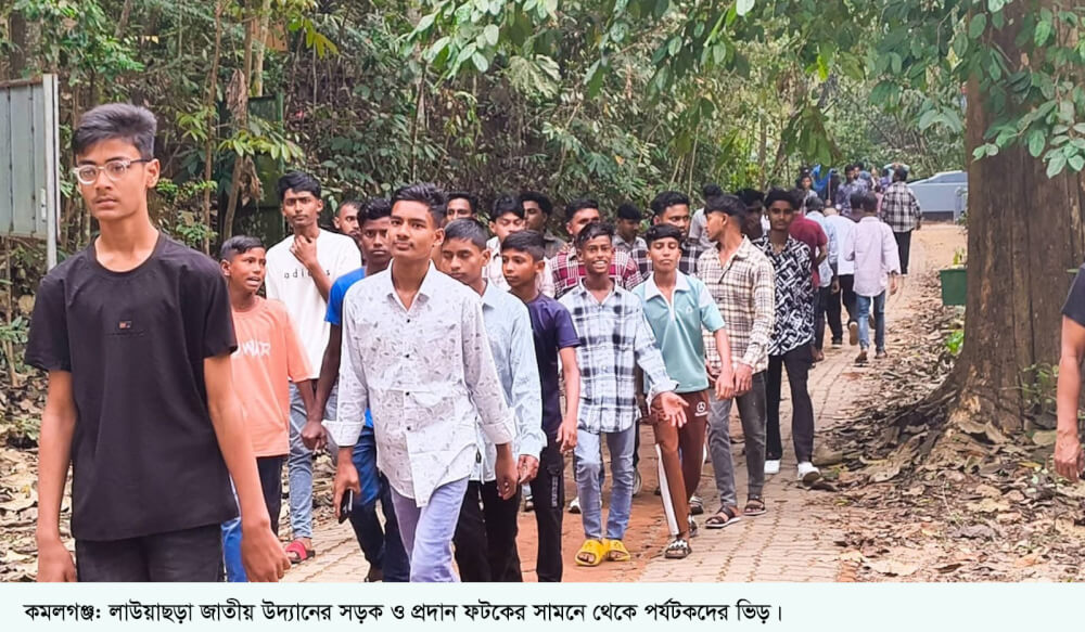 ঈদের ছুটিতে কমলগঞ্জের লাউয়াছড়ায় পর্যটকের ঢল; তিন দিনে রাজস্ব ৫ লক্ষাধিক টাকা