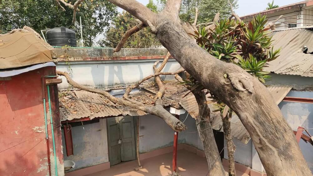 পঞ্চগড়ে কালবৈশাখী ঝড়ে বসতবাড়ি লণ্ড