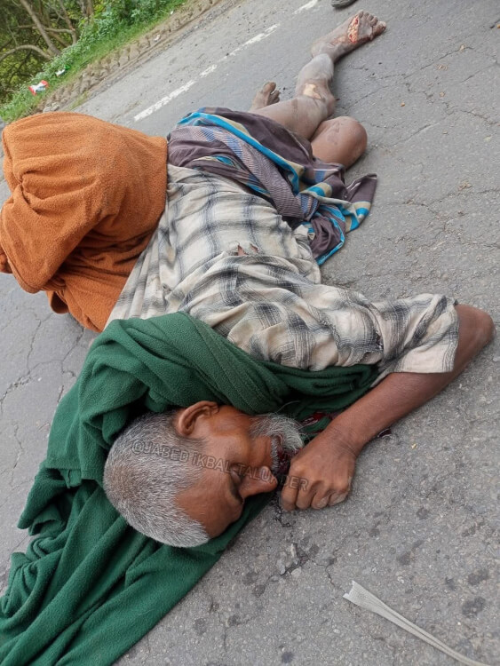 হবিগঞ্জে কাভার্ডভ্যানের চাপায়  বৃদ্ধ নিহত