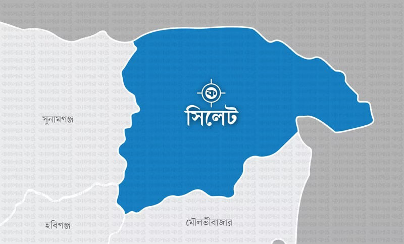 নানাবাড়ি বেড়াতে গিয়ে প্রাণ গেল দুই বোনের