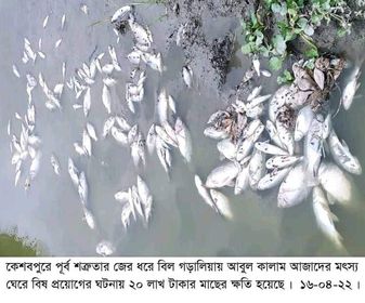 কেশবপুরে পূর্ব শত্রুতার জের ধরে বিল গড়ালিয়ায় মৎস্য ঘেরে বিষ প্রয়োগ