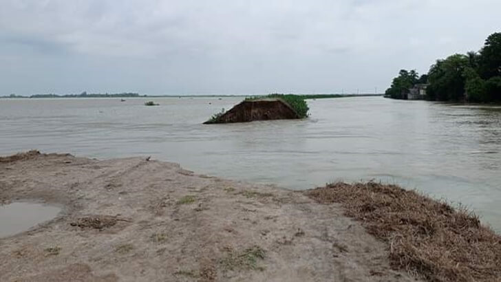 সাতবিলা বাঁধ ভেঙে তলিয়ে গেছে হাওরের আধাপাকা ধান