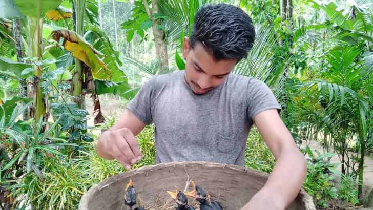 পাচারকালে পাহাড়ি ময়নার ছানা উদ্ধার