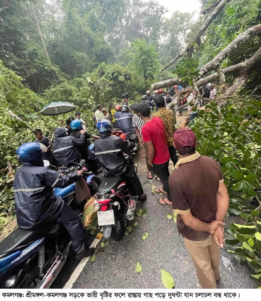 রাস্তায় গাছ পড়ে কমলগঞ্জ-শ্রীমঙ্গল সড়কে দুই ঘণ্টা যোগাযোগ বন্ধ