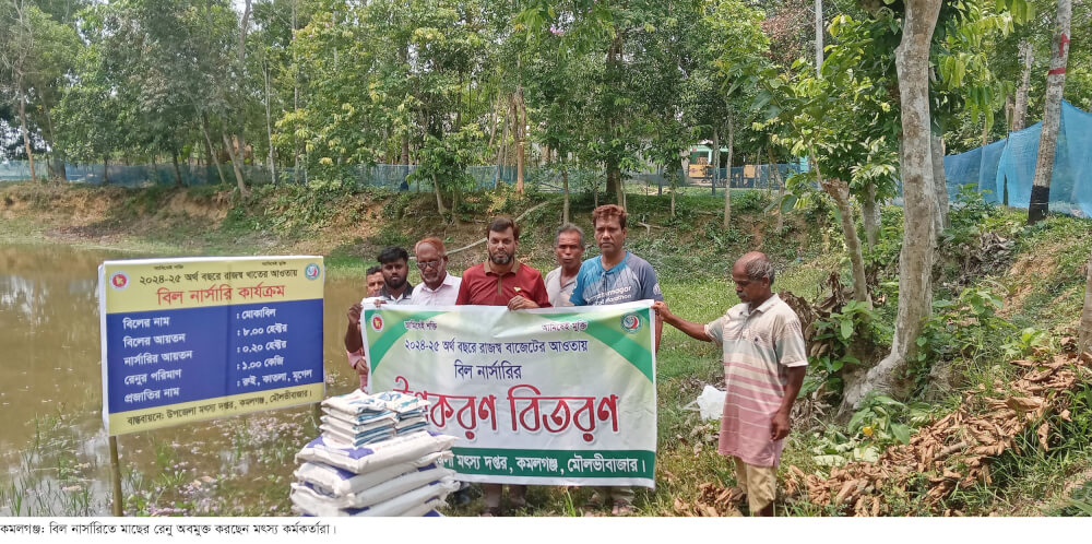 হাওর-বিলে প্রাকৃতিক খাদ্য বাড়াতে কমলগঞ্জে মাছের রেনু অবমুক্তকরন