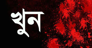 জমি সংক্রান্ত বিরোধের জের: কমলগঞ্জে চাচার হাতে ২ ভাতিজি খুন; আহত-১
