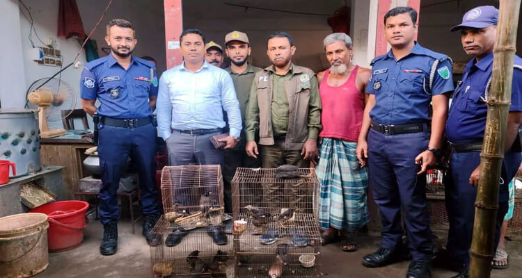 হবিগঞ্জে পাখি বিক্রির দায়ে জরিমানা
