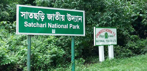 হবিগঞ্জের সাতছড়ি ও তেলমাছড়া  বন কর্মকর্তা কর্মচারীদের বিরুদ্ধে গাছ চুরির অভিযোগে মামলা