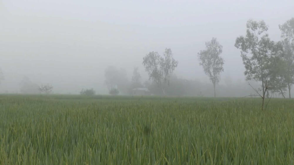 তাপমাত্রা রেকর্ড করা হয়েছে তেতুলিয়া ১৪ দশমিক ৫ ডিগ্রি সেলসিয়াস