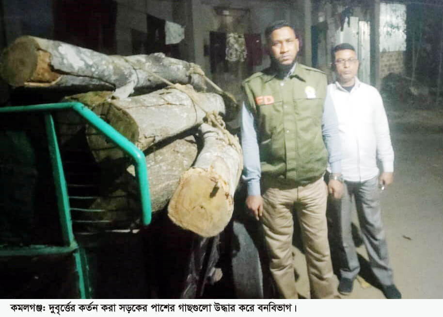 কমলগঞ্জে সড়কের পাশ থেকে ৯টি গাছ কেটে নিল দুর্বৃত্তরা, উদ্ধার করলো বন বিভাগ