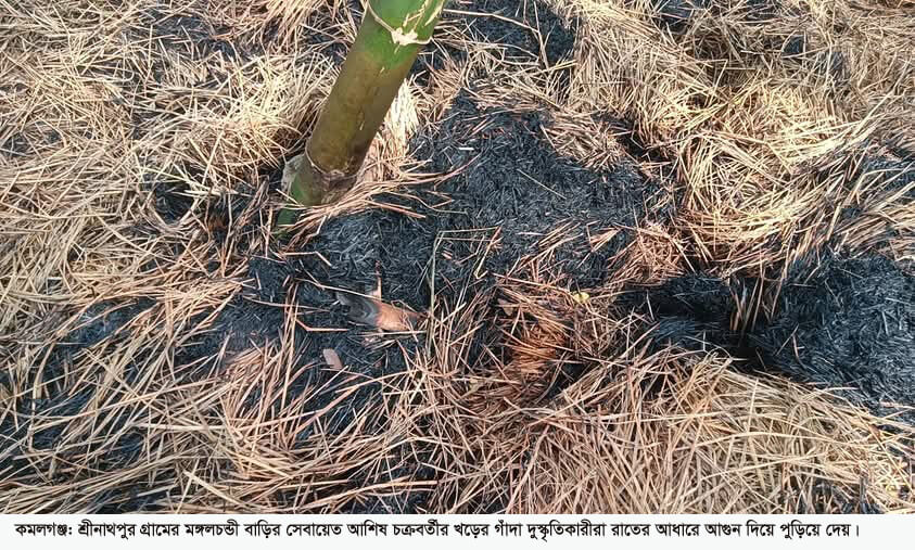 কমলগঞ্জে খড়ের গাঁদা পুড়িয়ে দিয়েছে দুস্কৃতিকারীরা