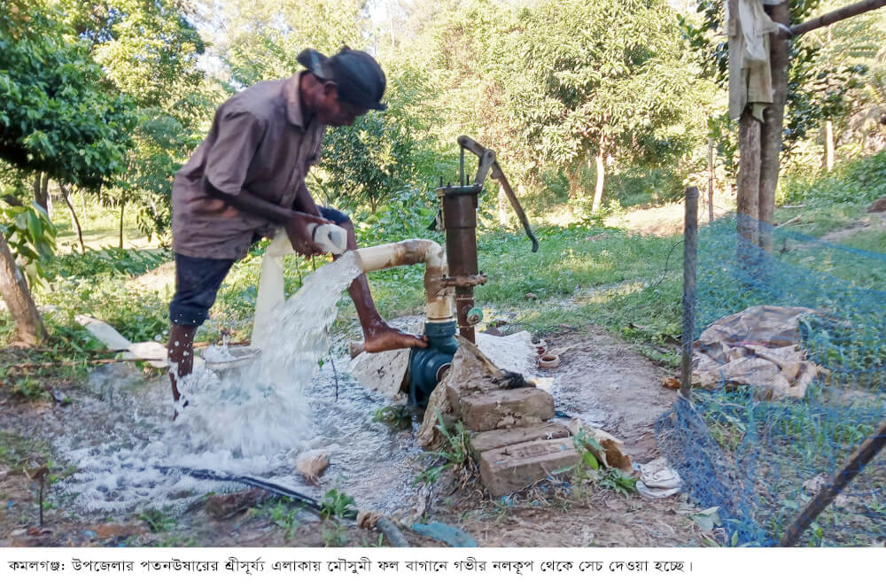 কমলগঞ্জে সেচ সংকট তীব্র হচ্ছে শুকিয়ে যাচ্ছে পুকুর-ডোবা, খালবিল, জলাশয়