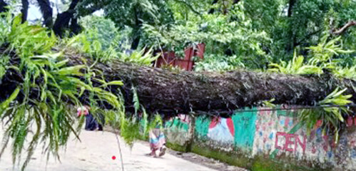 কালবৈশাখী ঝড়ে লন্ডভন্ড হবিগঞ্জ বিপর্যস্ত জনজীবন  ব্যাপক ক্ষয়ক্ষতি