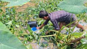 হবিগঞ্জে তেলবাহি ট্রেন লাইনচ্যুত   তেল সংগ্রহে হিড়িক