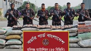 হবিগঞ্জে বিজিবির অভিযানে ২ কোটি টাকার ভারতীয় ঔষধ  আটক