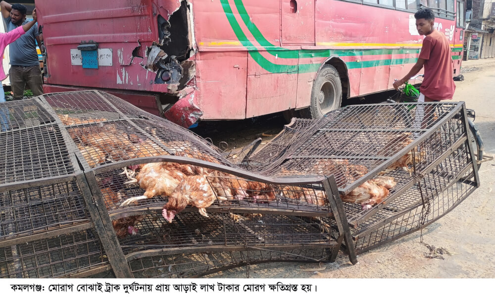 কমলগঞ্জে মোরগ বোঝাই ট্রাক দুর্ঘটনায় আহত-২