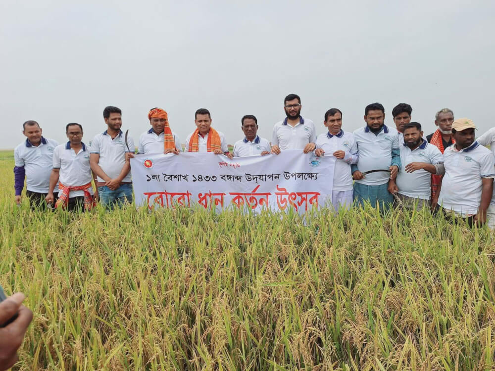 শাল্লায় উৎসবমুখর পরিবেশে বোরো ধান কাটা ও নববর্ষ উদযাপন