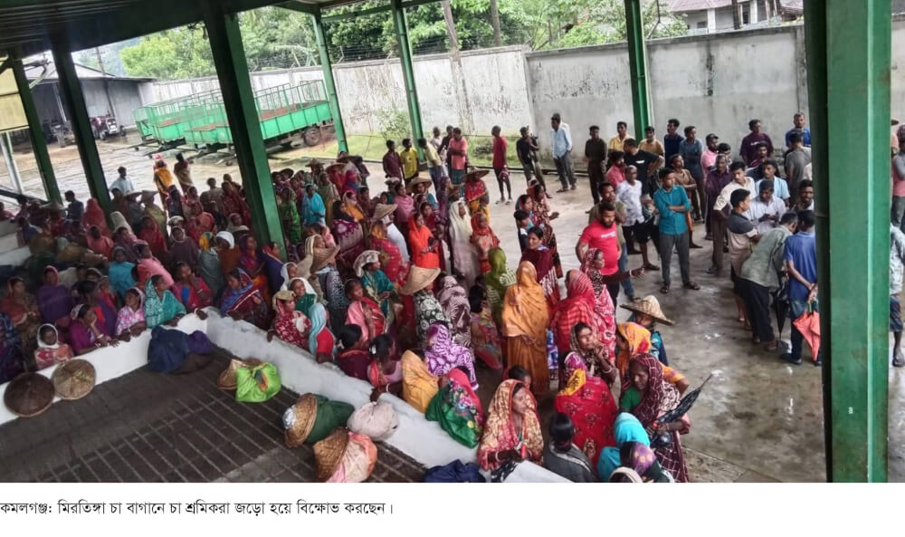 ব্যাংক ঋণ না পাওয়ায় বন্ধ হলো দেউন্ডি টি কোম্পানীর চার বাগান; উদ্বেগ আর উৎকন্ঠায় চা শ্রমিকরা; হতাশ মুসলমান পরিবার সদস্যরা