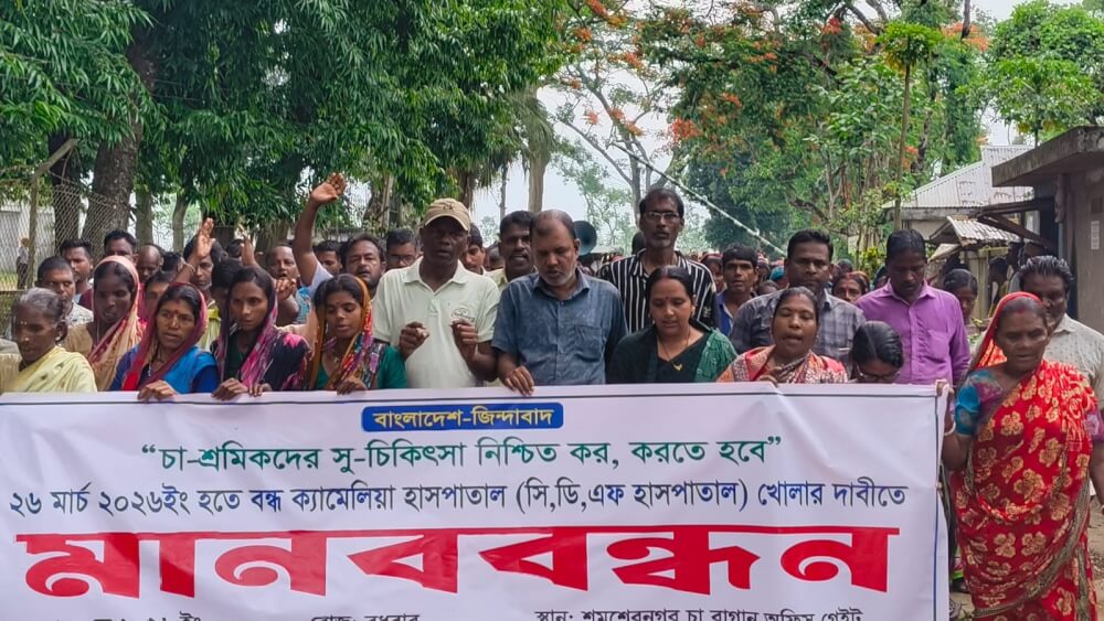 চিকিৎসা সেবা থেকে বঞ্চিত লক্ষাধিক চা শ্রমিক; বন্ধ ক্যামেলিয়া হাসপাতাল খুলে দেওয়ার দাবিতে কমলগঞ্জে মানববন্ধন