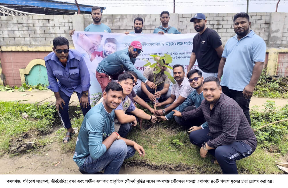 পর্যটন এলাকার সৌন্দর্য ও জীববৈচিত্র্য রক্ষায় কমলগঞ্জে ৪০টি পলাশের চারা রোপণ