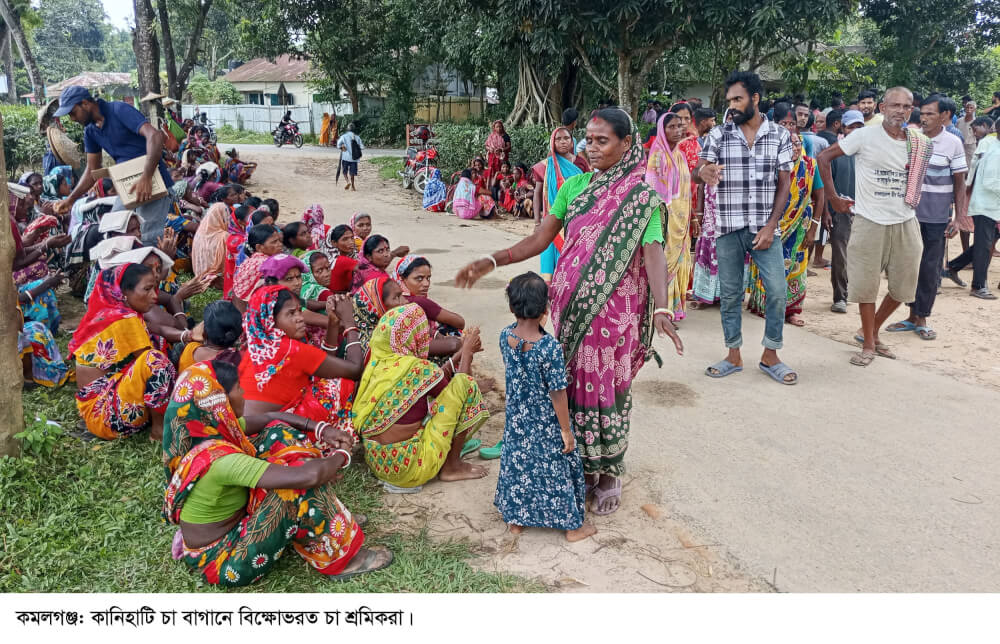 কমলগঞ্জে কানিহাটি চা বাগানে শ্রমিকদের কর্মবিরতি ও বিক্ষোভ