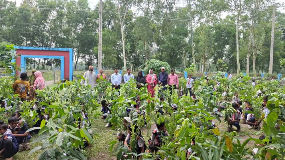 তেঁতুলিয়ায় বাবার স্মরণে সাইফুল প্রযুক্তি নার্সারীর গাছের চারা বিতরন