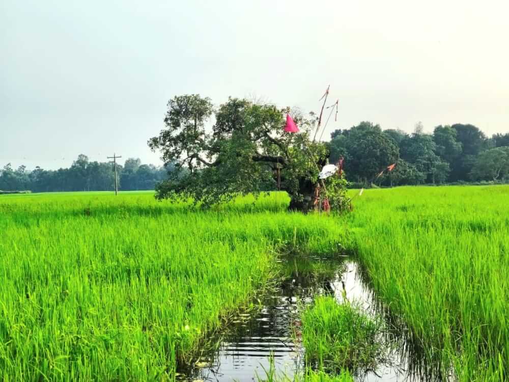 রহস্যজনক নারীর মরদেহ উদ্ধার করেছে পুলিশ