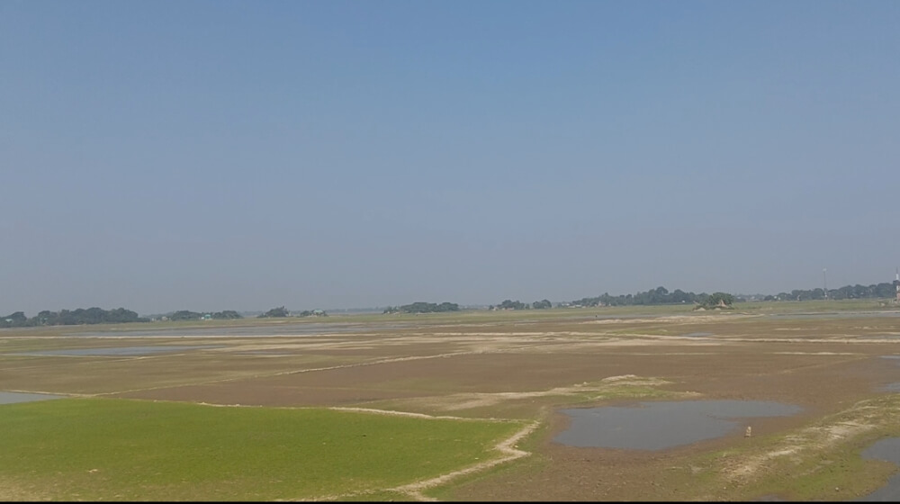 বর্ষা শেষে জেগে উঠল হাওর, পলিতে বুনছে নতুন স্বপ্ন