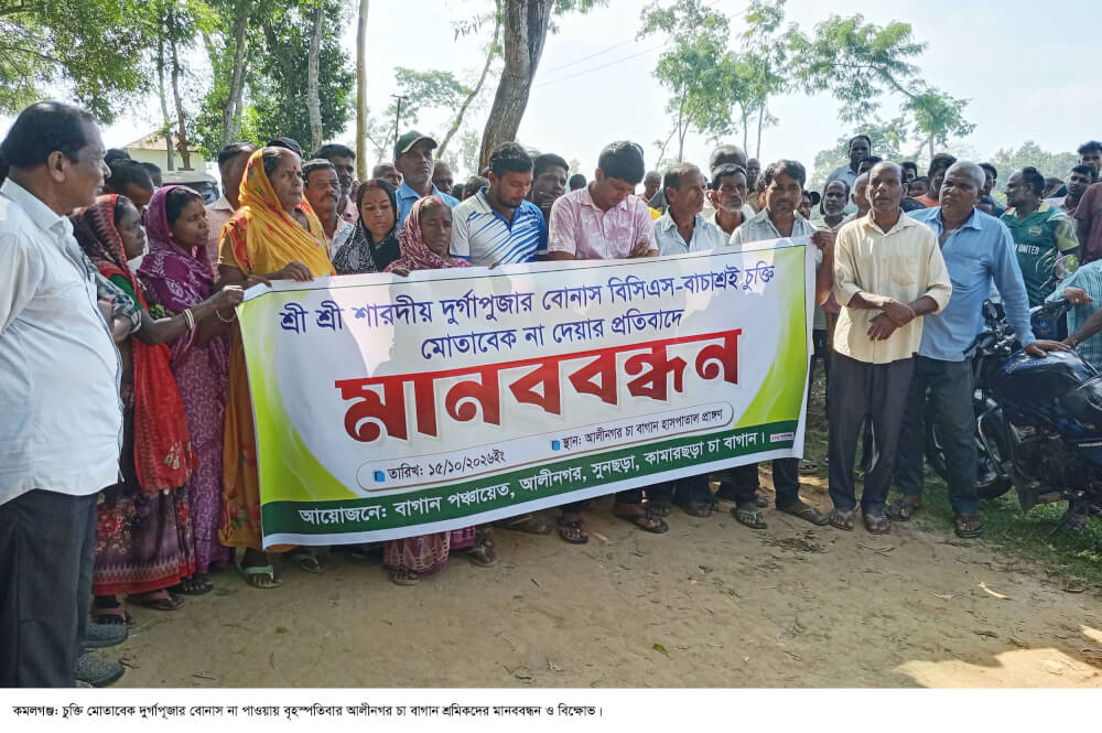 চুক্তি মোতাবেক দুর্গাপূজার বোনাস না পাওয়ায় কমলগঞ্জে আলীনগরে তিন চা বাগান শ্রমিকদের মানববন্ধন ও বিক্ষোভ
