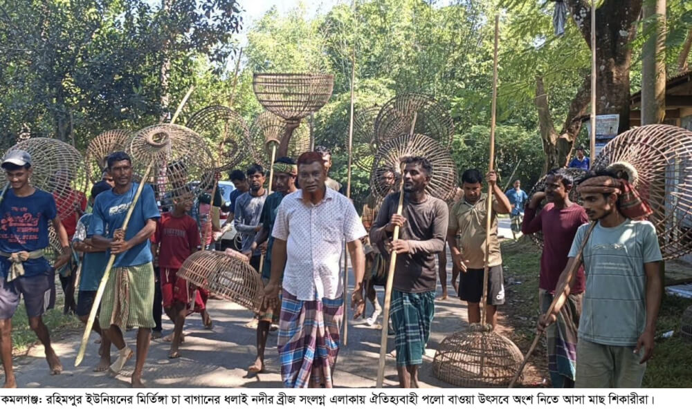 কমলগঞ্জের ধলাই নদীতে পলো বাওয়া উৎসব; মাছ ধরতে মানুষের ঢল