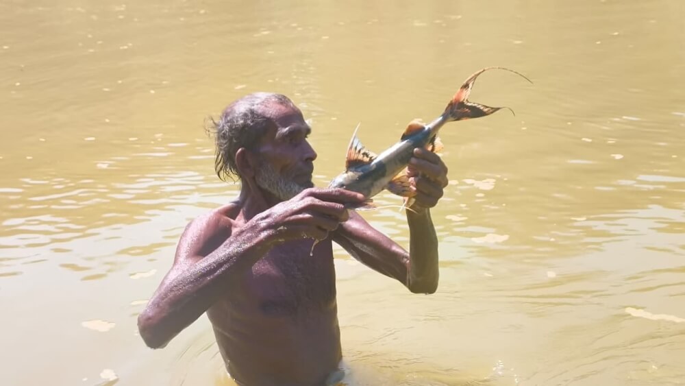 কমলগঞ্জে ধলাই নদীতে বিষ দিয়ে মাছ নিধন, স্বাস্থ্যঝুঁকিতে স্থানীয়রা